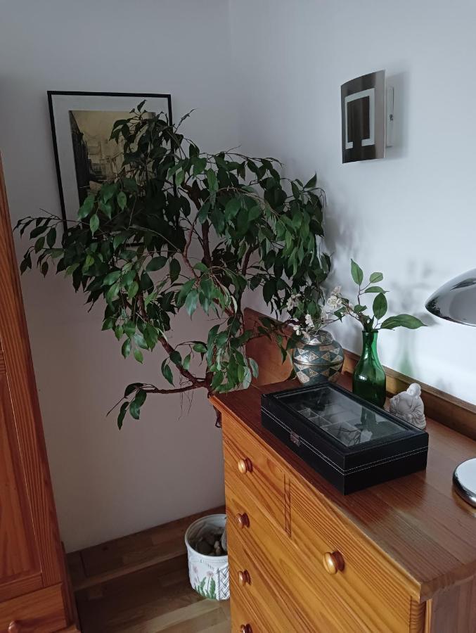 Sohocozy Appartement Londen