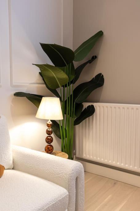 Elegance: A Symphony Of High-end Decor Londres