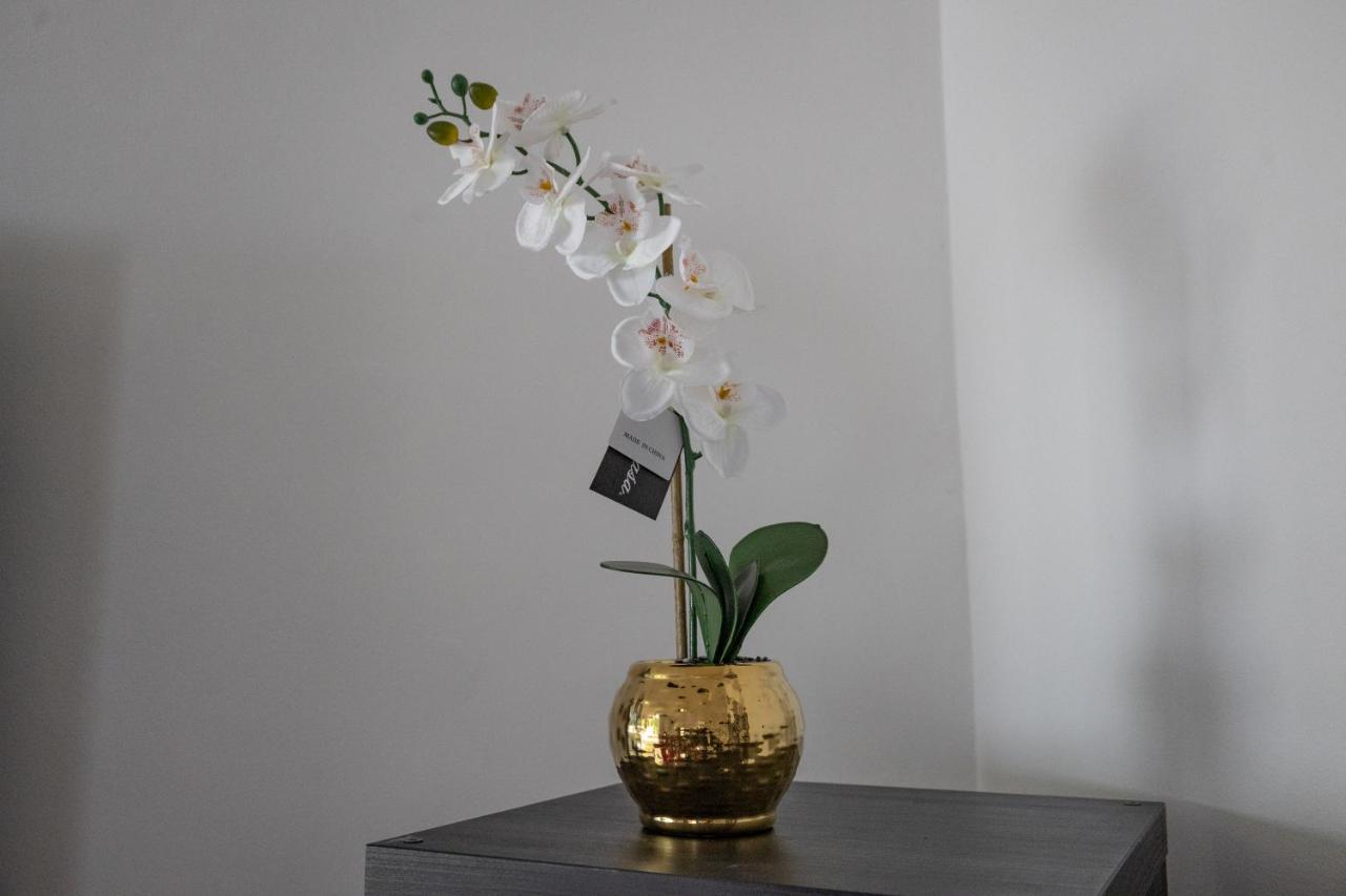 London - 4 Bed - Sleeps 8 - Garden - Pet Friendly Casa de Férias Londres