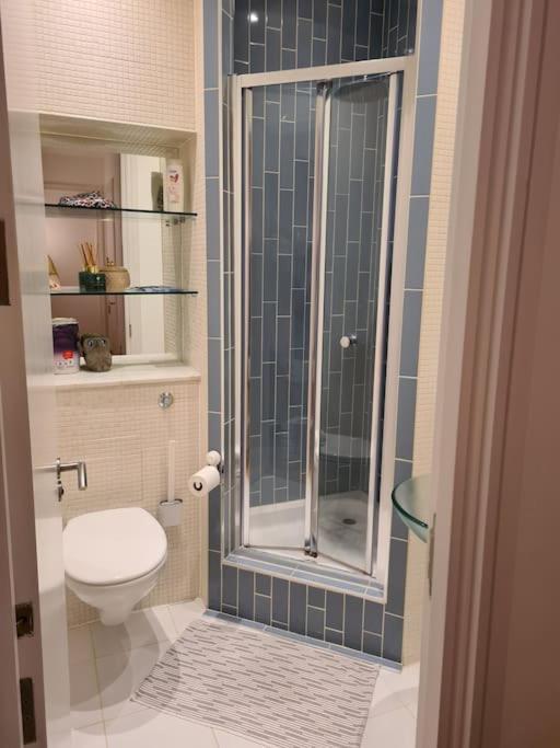 Whole Flat, Centrally Located, Light & Airy Appartement Londres