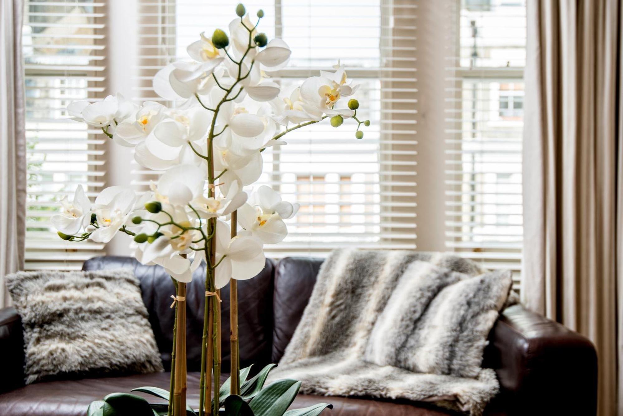 Apartment Linden Gardens London