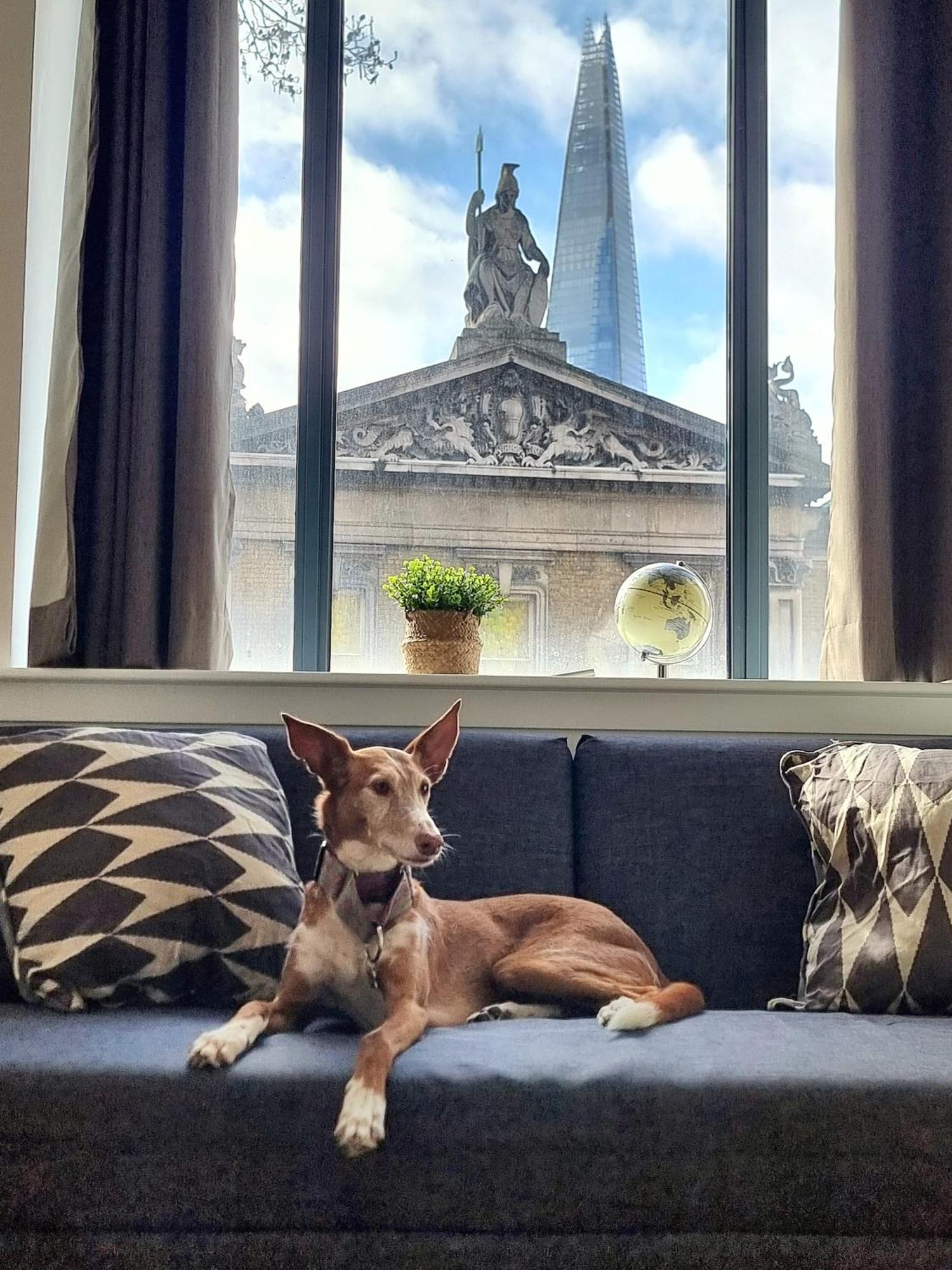 Shard View Appartement *