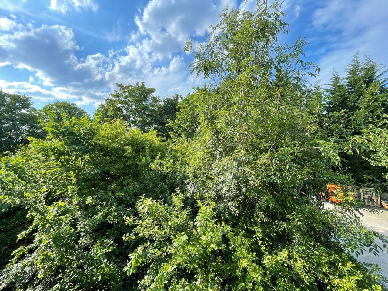 Appartement Hampstead 4-bedrooms