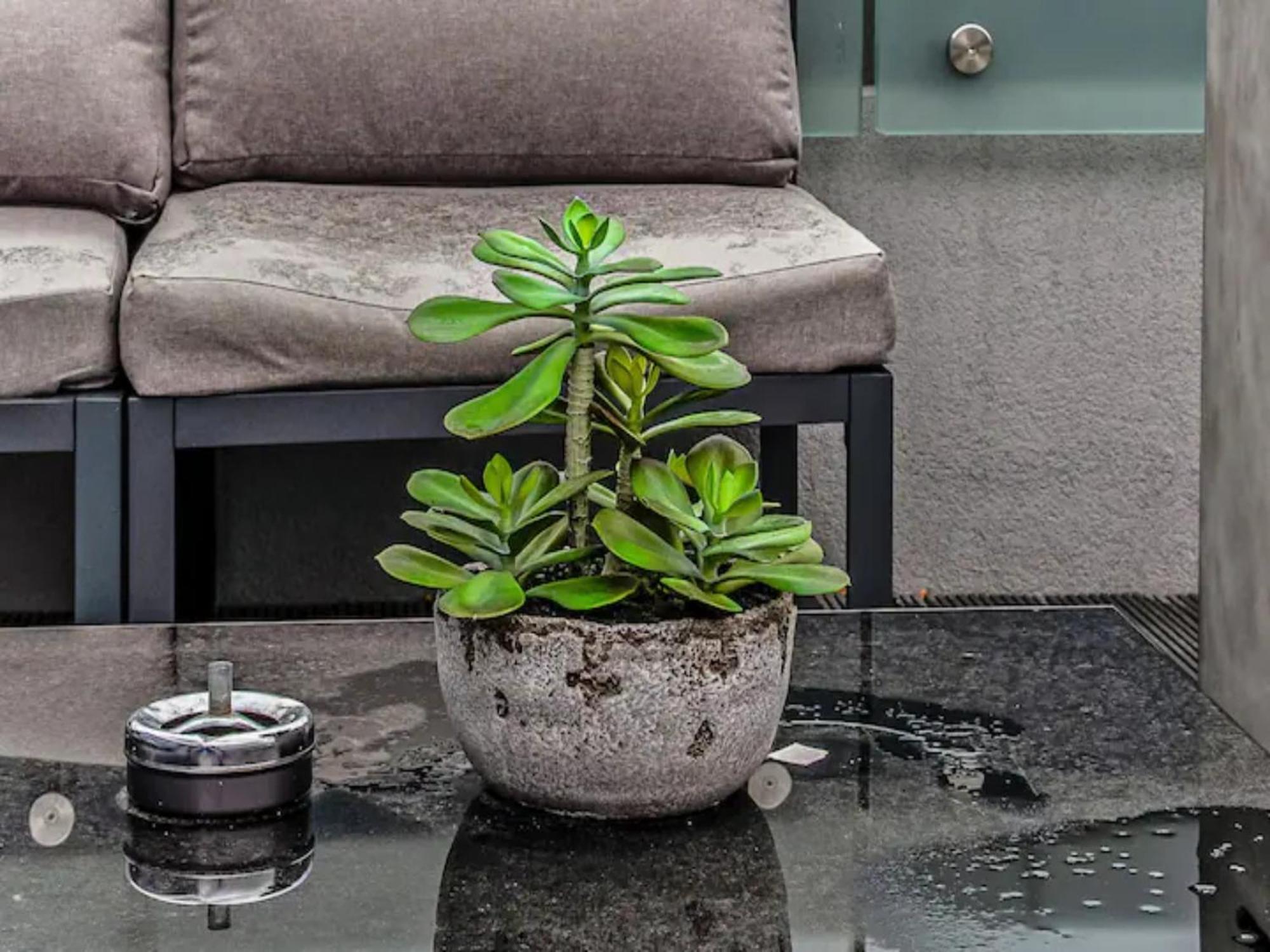 Appartement Pass The Keys Penthouse Oasis In Trendy Fulham *