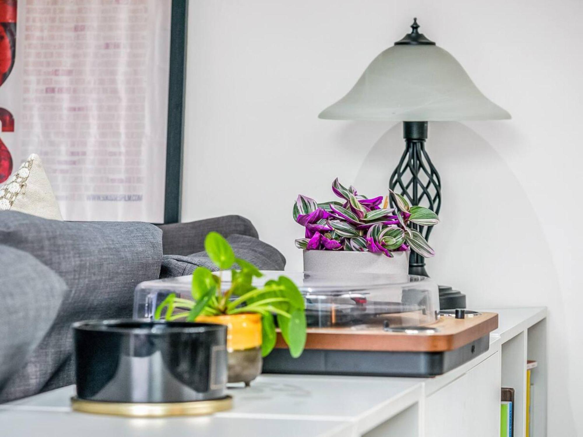 Apartamento Pass The Keys Modern Terrace In Putney Londres