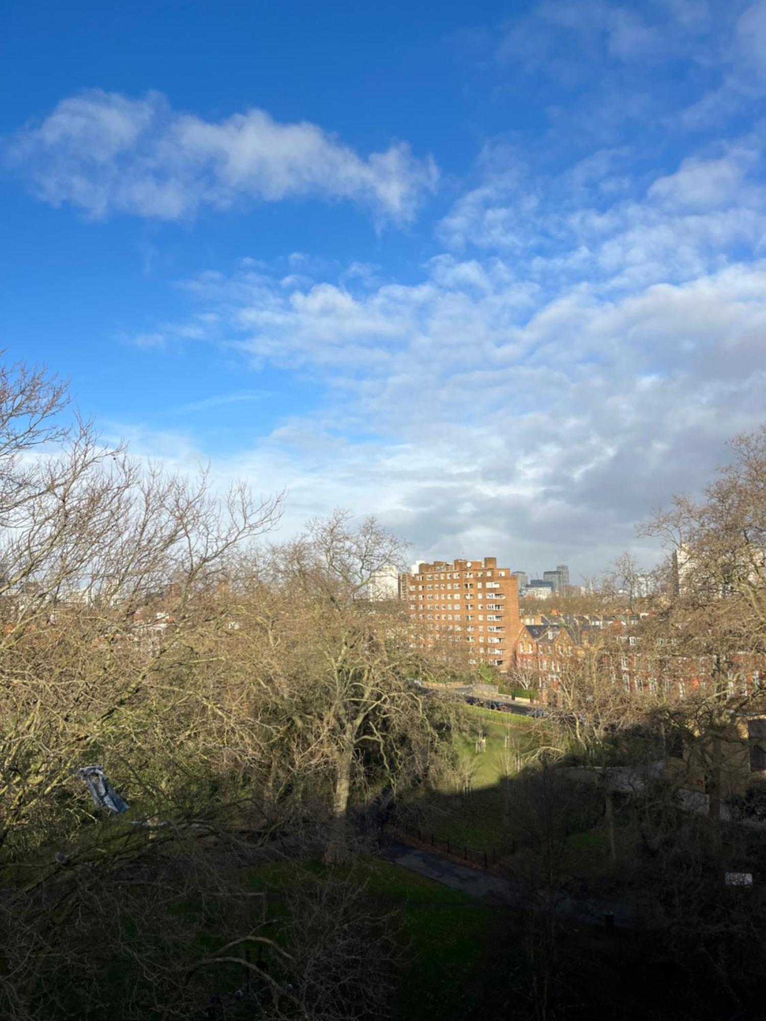 Kennington Flat With Balcony, King Size Bed And Free Parking Overlooking Park * London