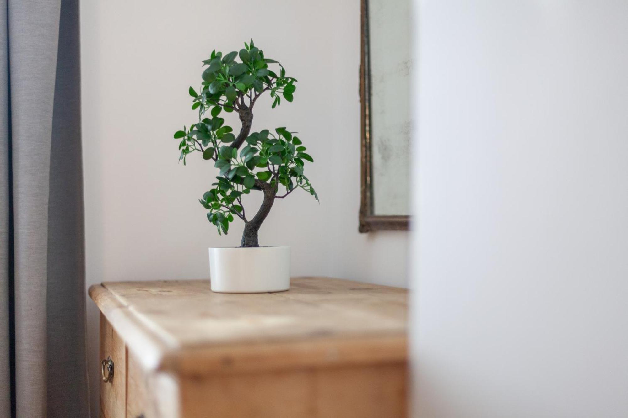 The Oval Collection Appartement *