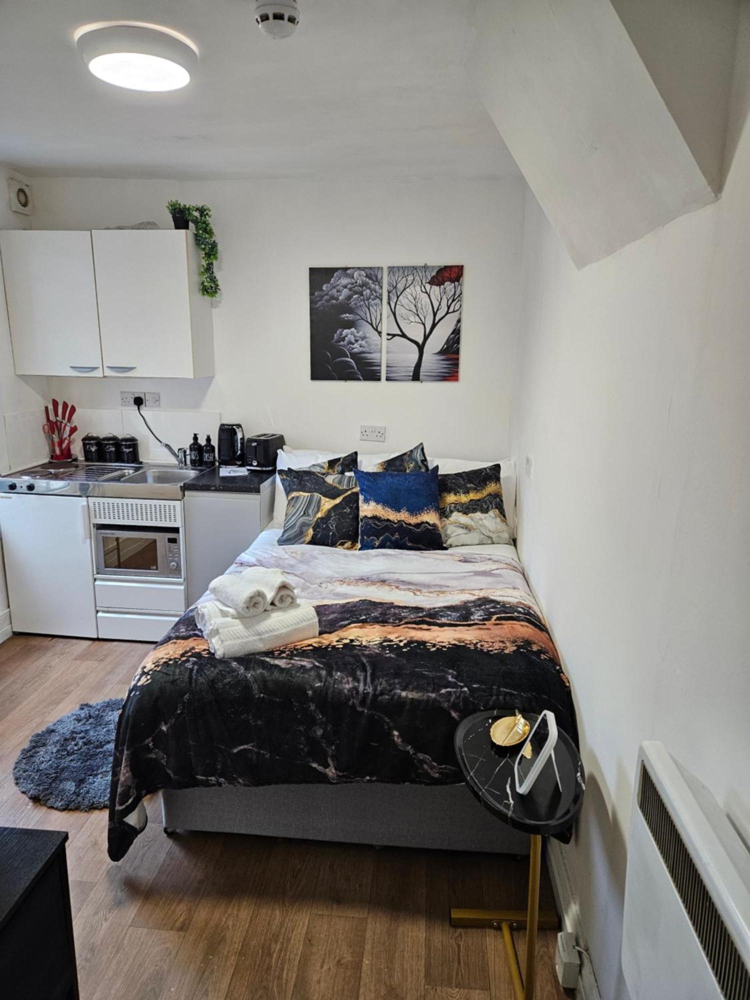 Appartement Tiny Studio, 30 Min To St. Pancras, North