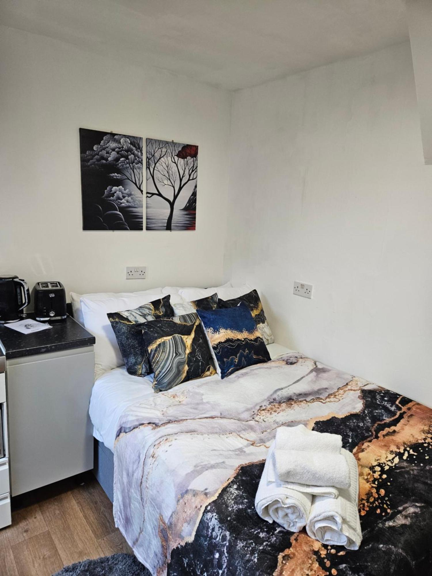 Appartement Tiny Studio, 30 Min To St. Pancras, North Londres