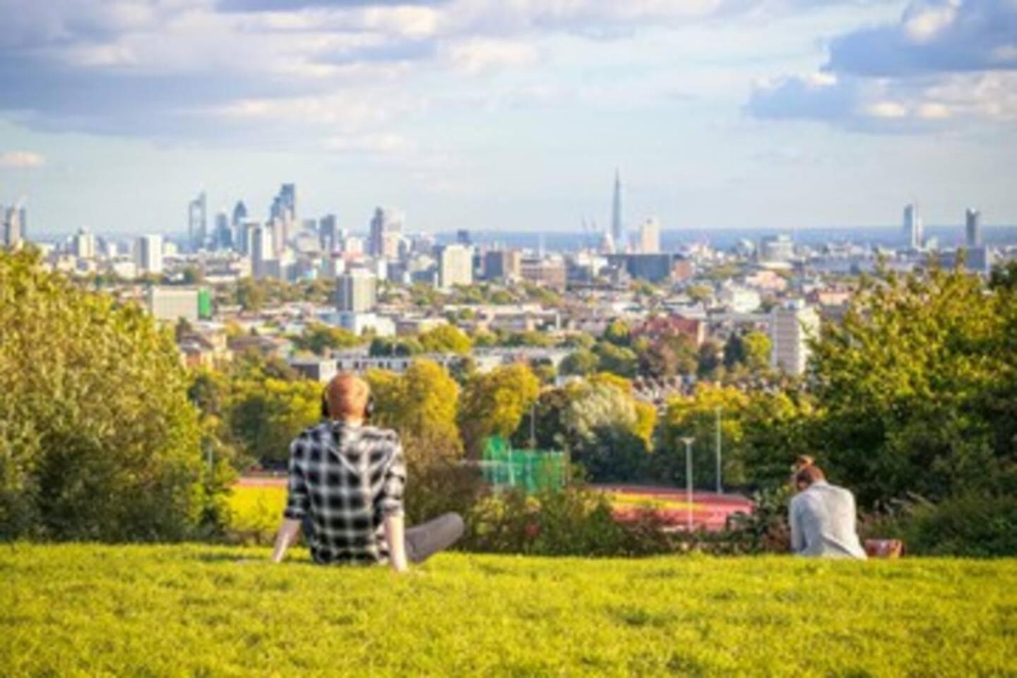 Garden Flat With A Heath Views & Skyline London