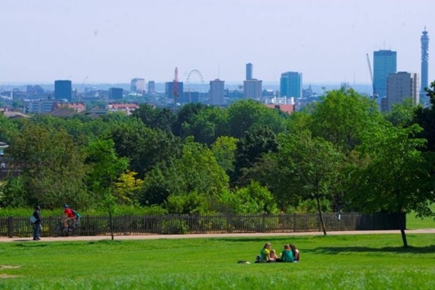 Garden Flat With A Heath Views & Skyline London