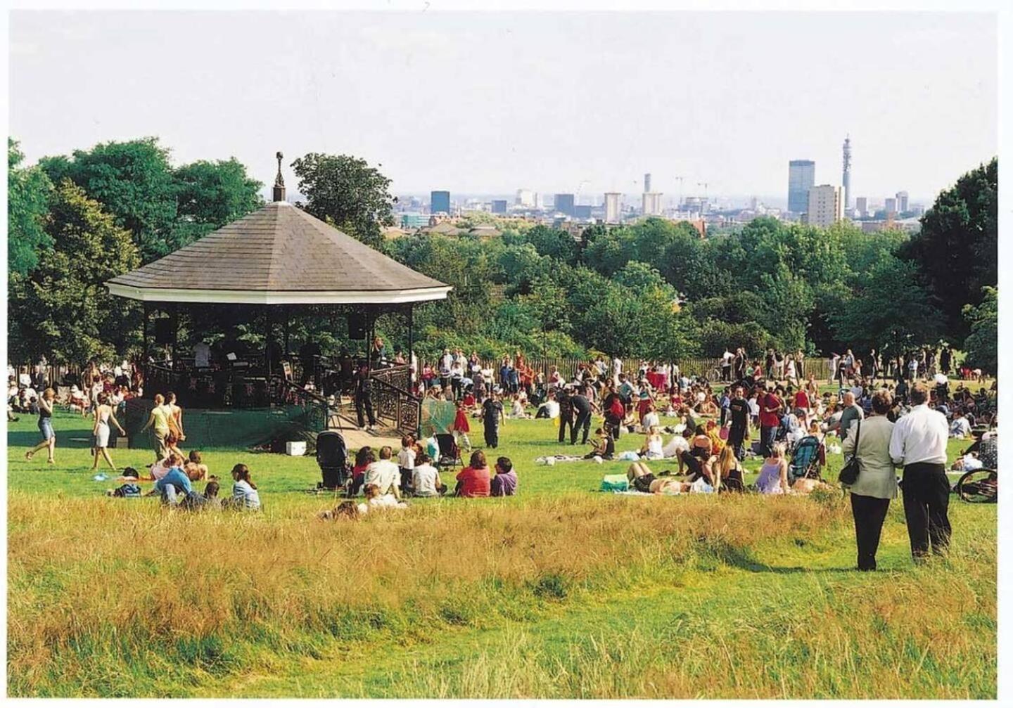 Garden Flat With A Heath Views & Skyline Londen