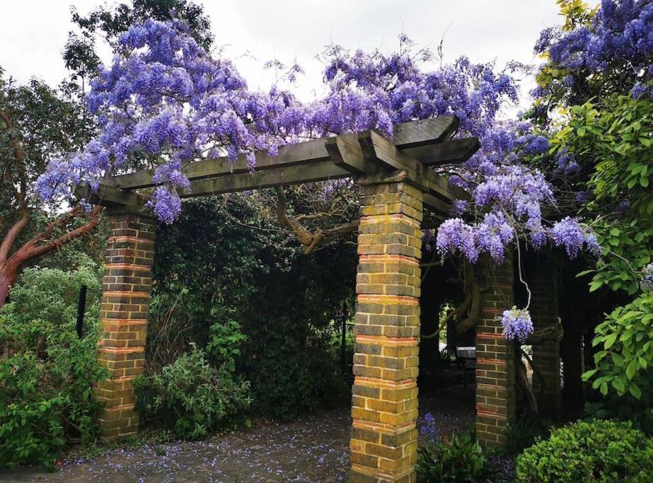 Lovely 2br In Peaceful Hampstead, Nw Hébergement de vacances Londres