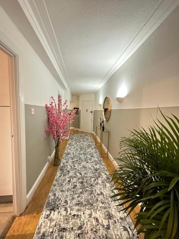 Hyde Park Three Bedroom Apartamento