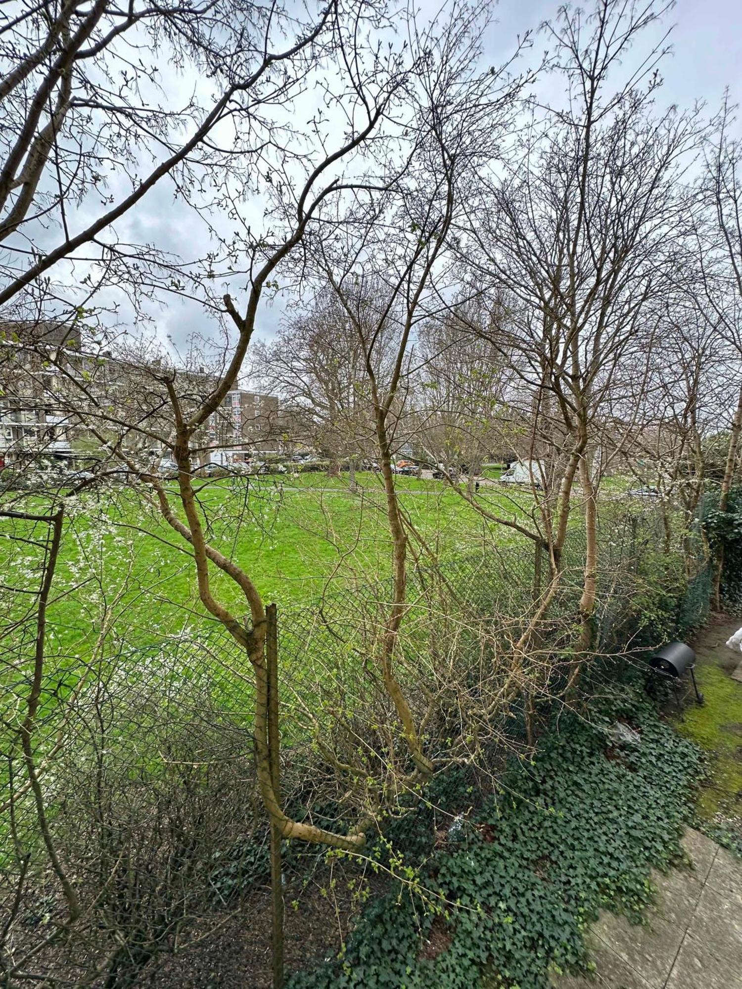 Spacious Quiet Stylish Entire Flat Appartement *