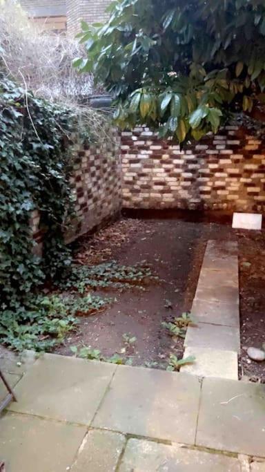 Deluxe Garden