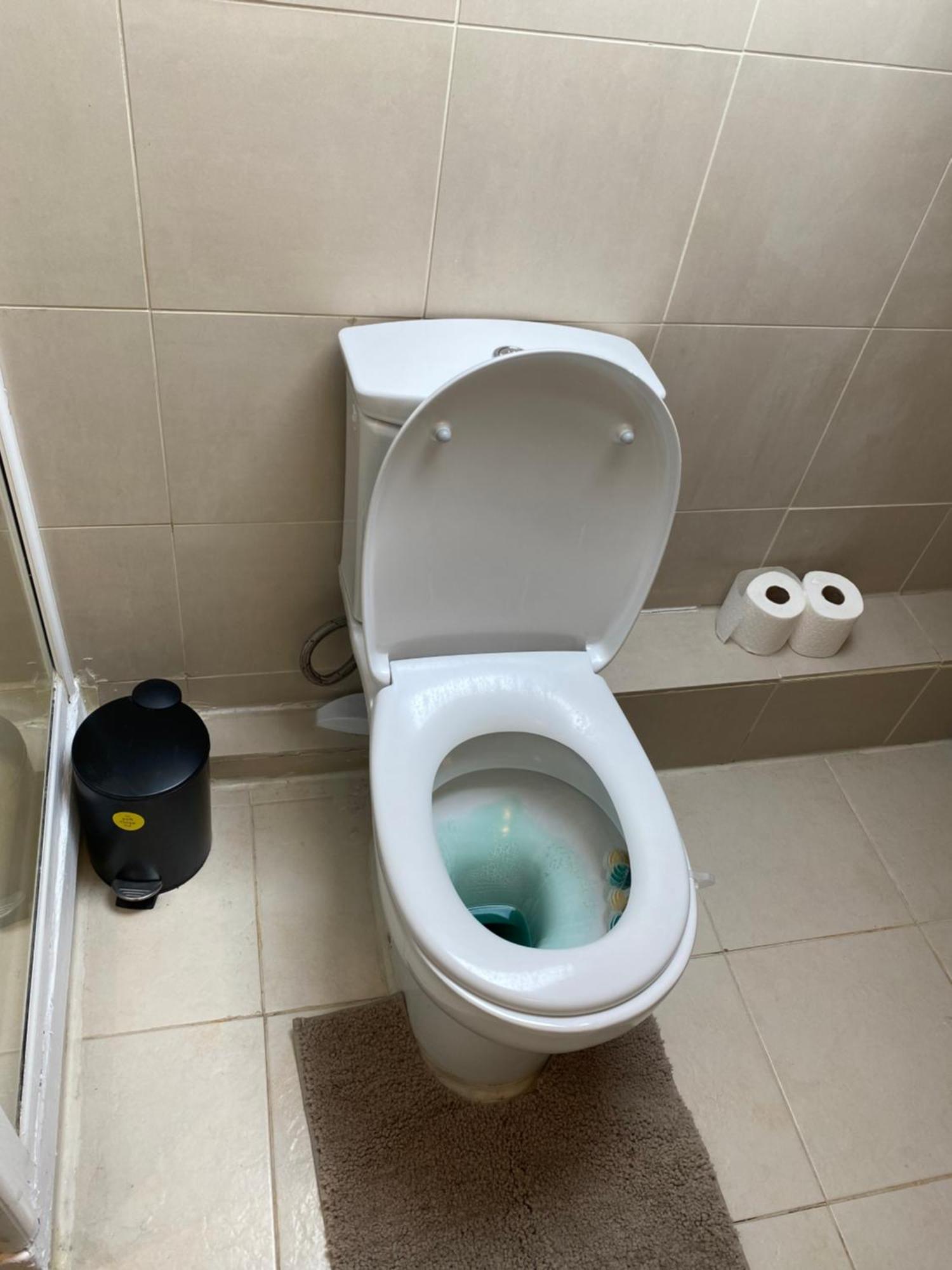 Appartement The *