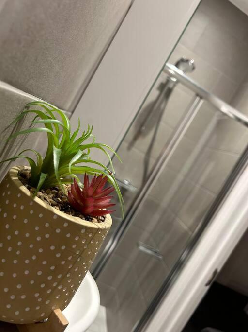City Studio Escape Near Emirates Londres