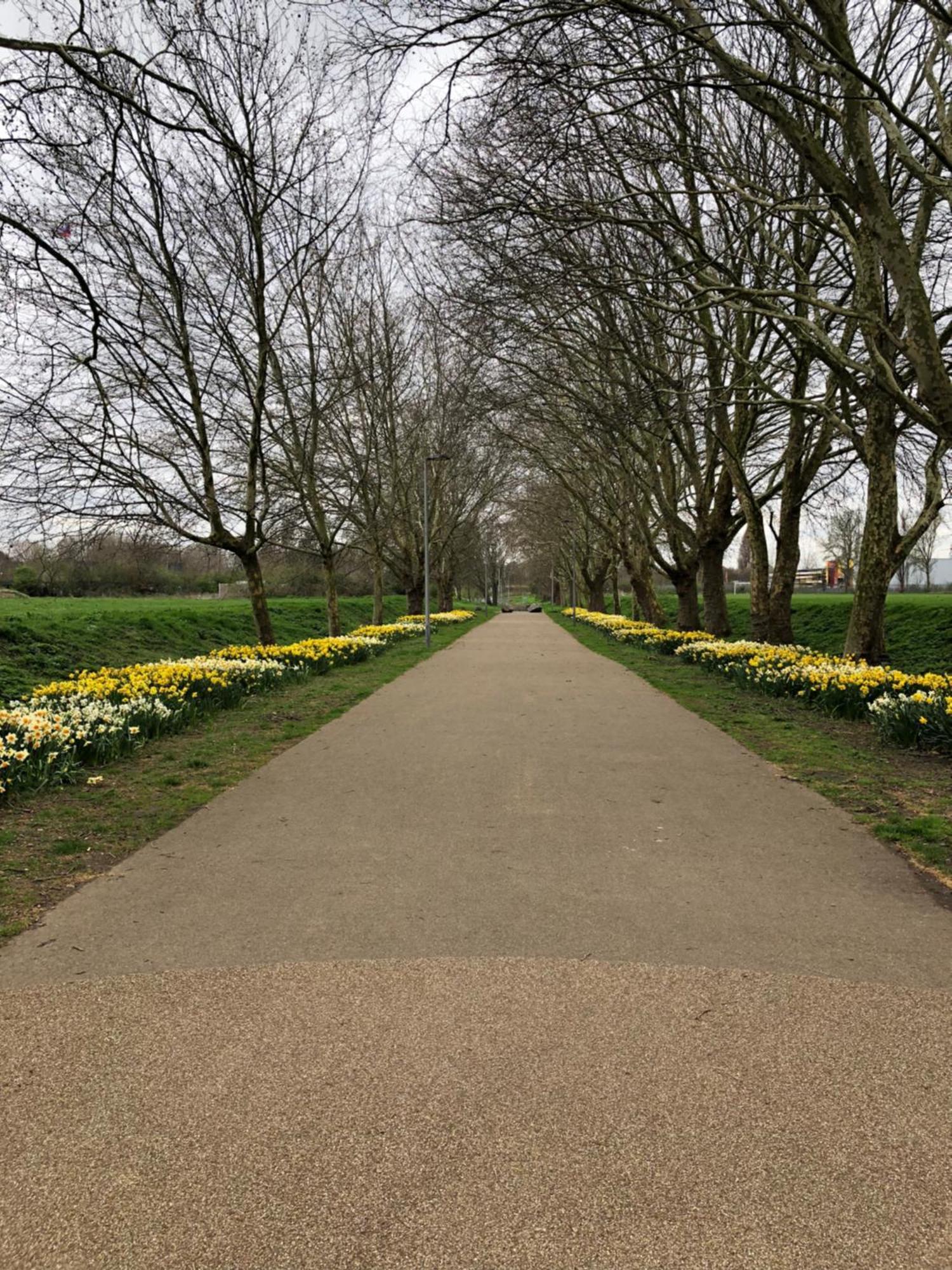 Casa de férias Idyllic In Jubilee Park Londres