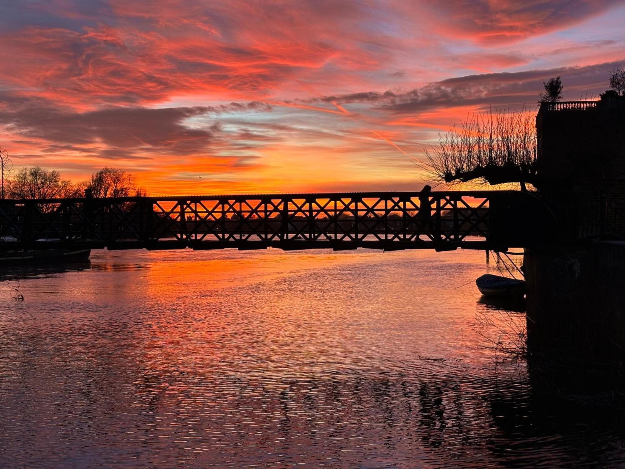 Pillo Hammersmith * Londen