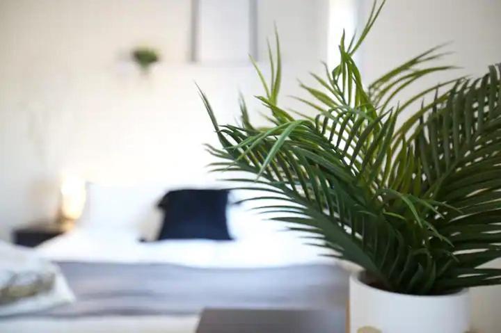 Apartment Chapel House *