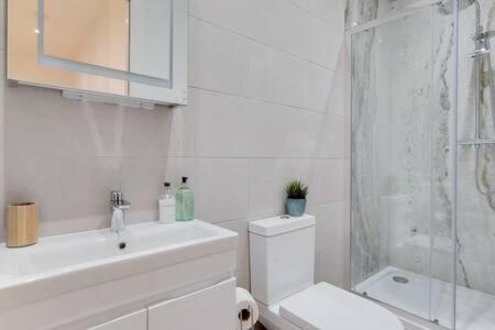 Modern Ealing With Large Private Patio Apartment
