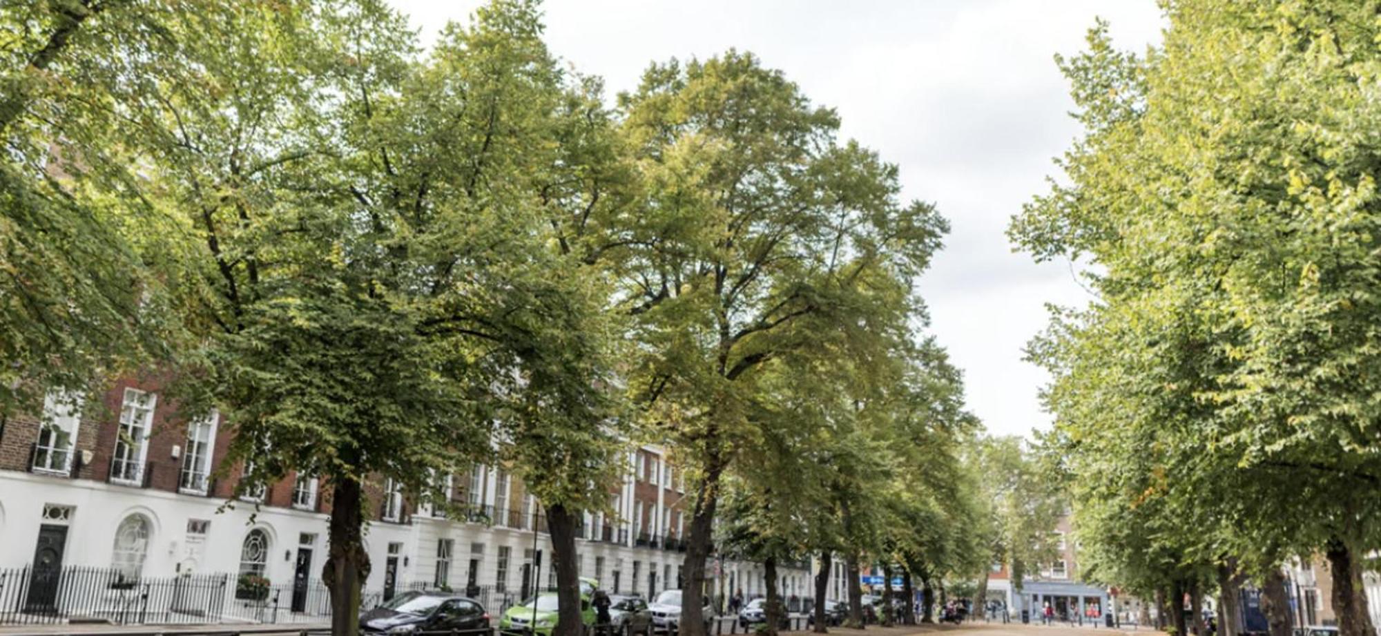 Chelsea 2 People Balcony Location Appartement Londres