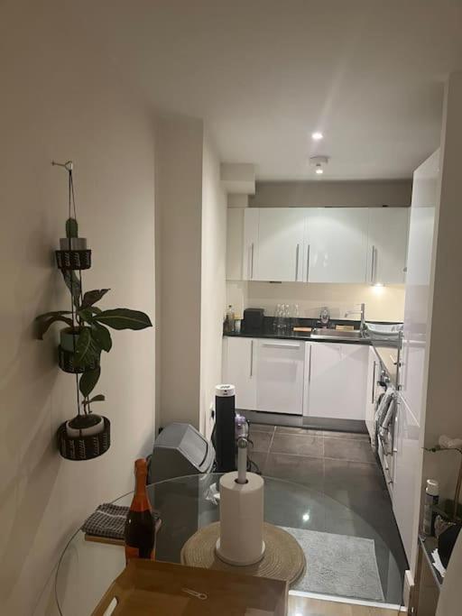 1 Bed Flat In Apartamento