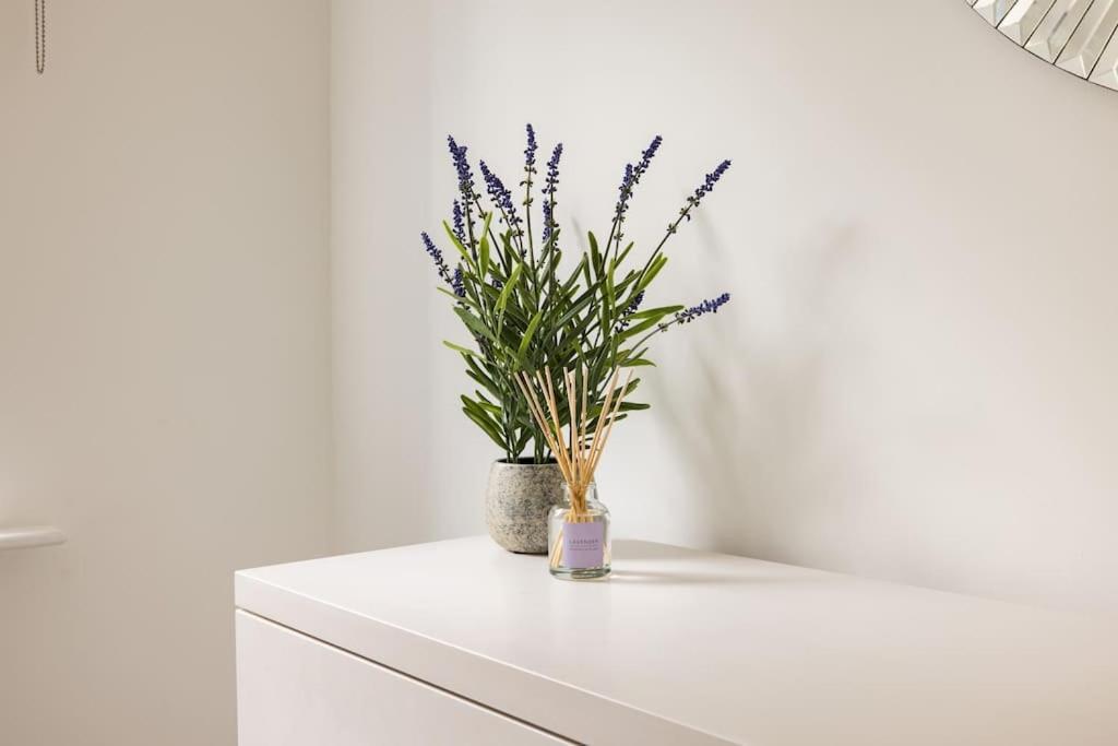 Apartment Wild Roses Serviced - Borough