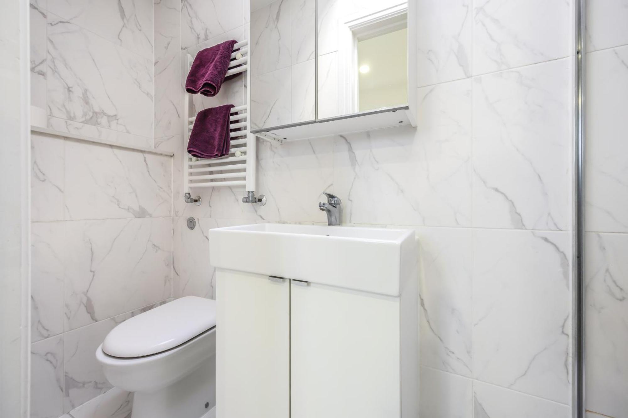 Apartment Spacious Near Hammersmith Staion London