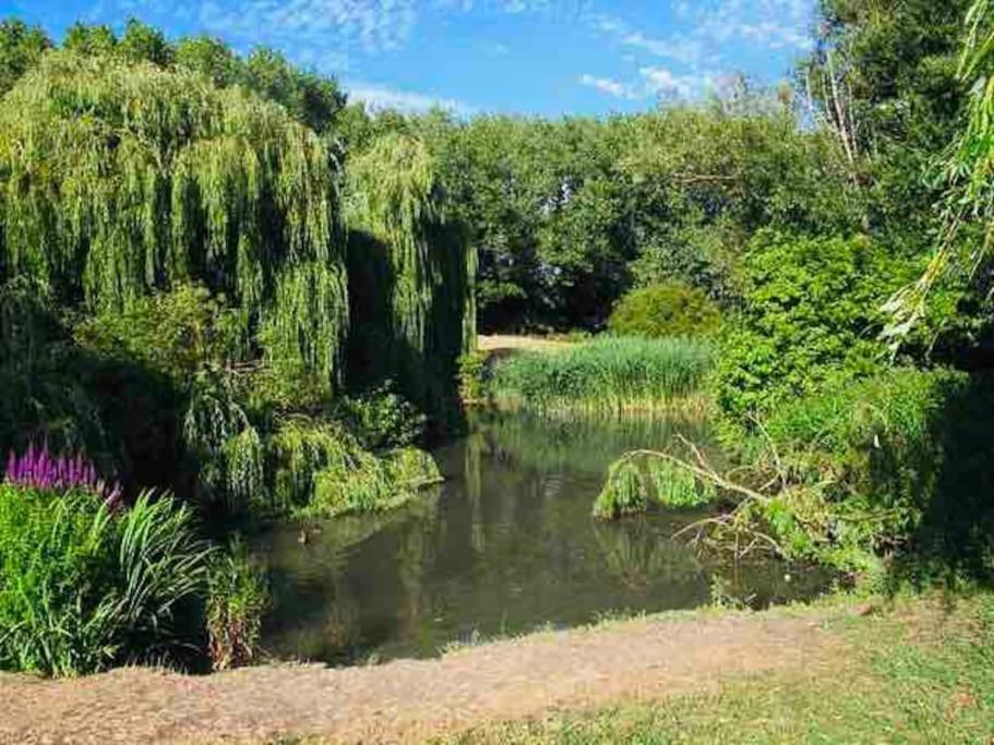 Hidden Oasis Comfy In New Cross