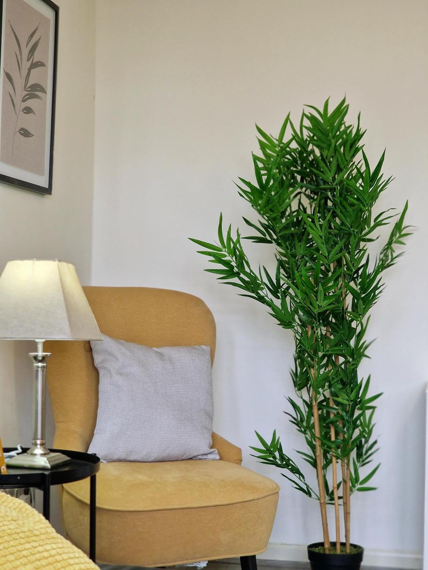 Apartamento Great Portland