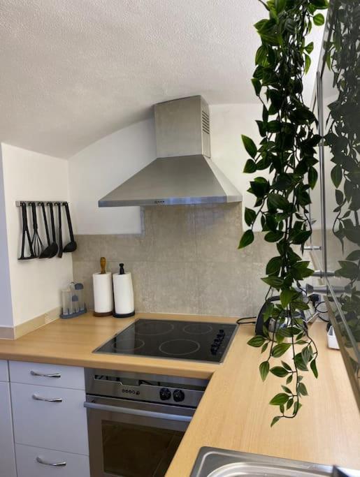 Spacious Flat In The Desirable Area Of Apartment London