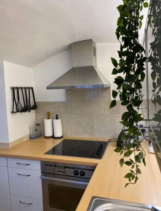 Apartment Spacious Flat In The Desirable Area Of