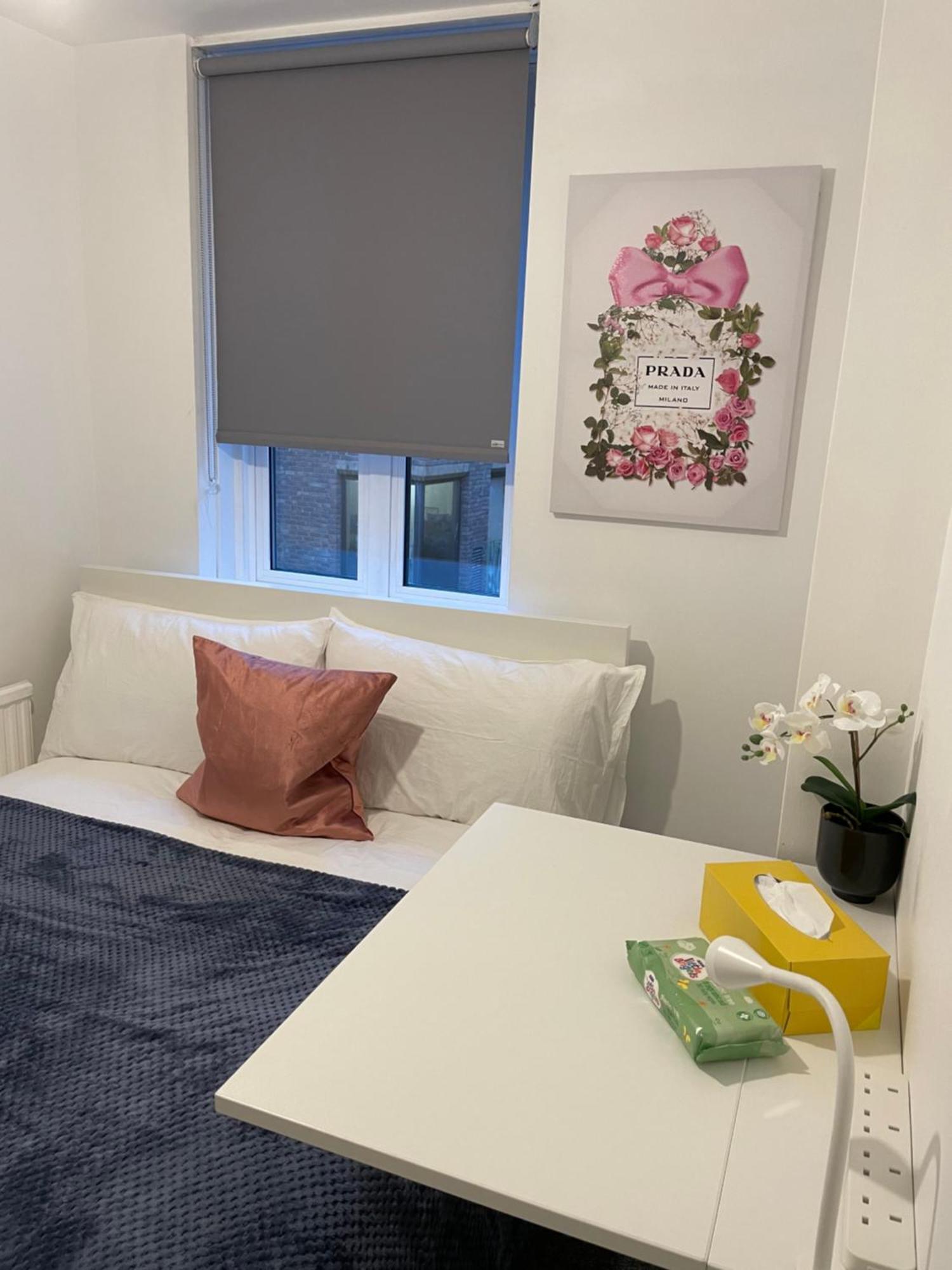 Lovely Double In Euston & Square In Homestay *