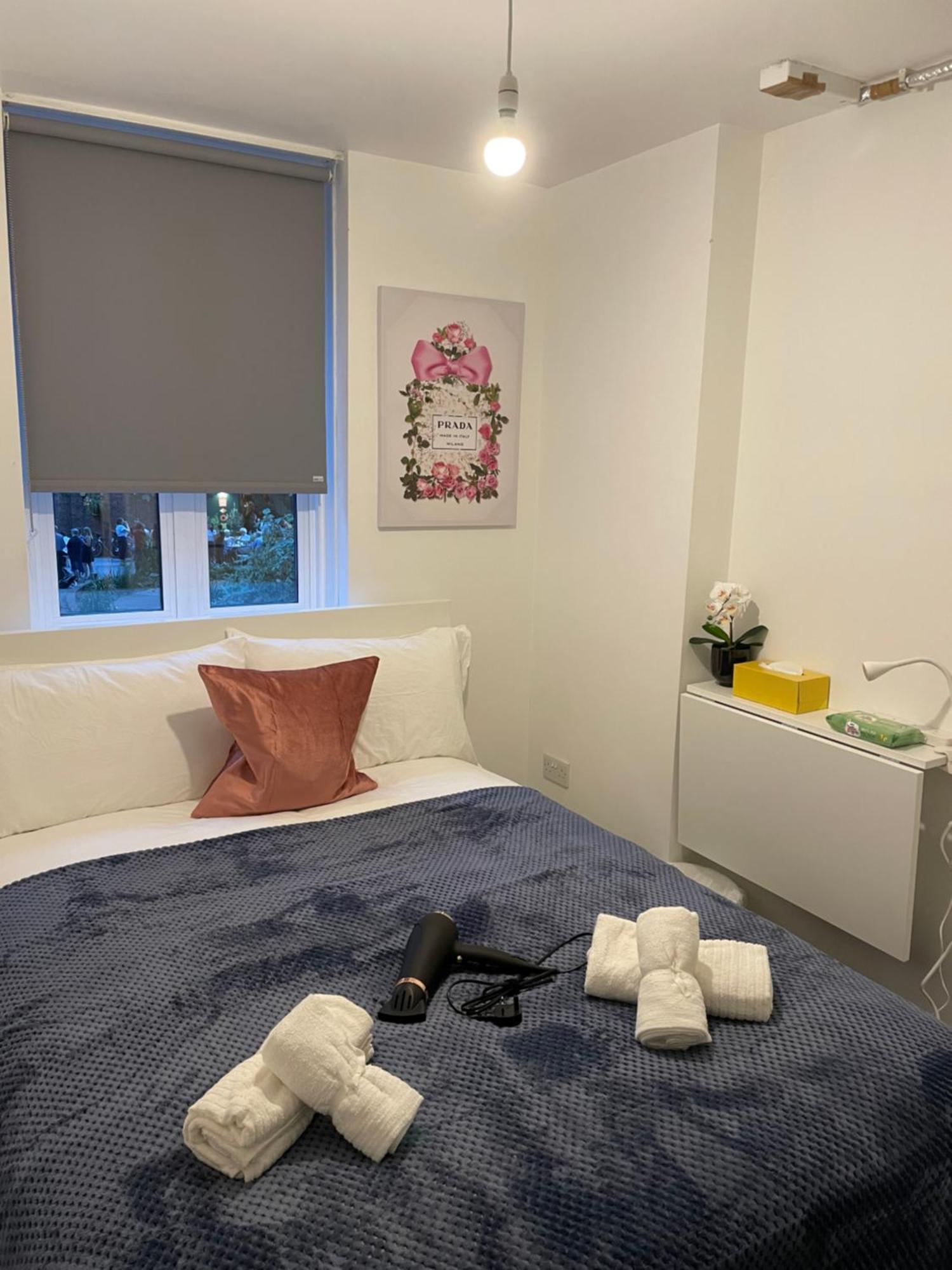 Homestay Lovely Double In Euston & Square In London