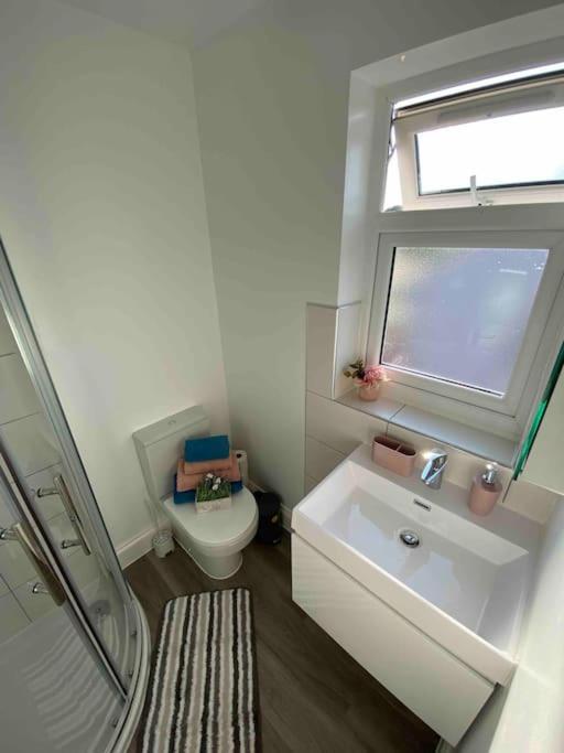 Lively Loft 30min To London