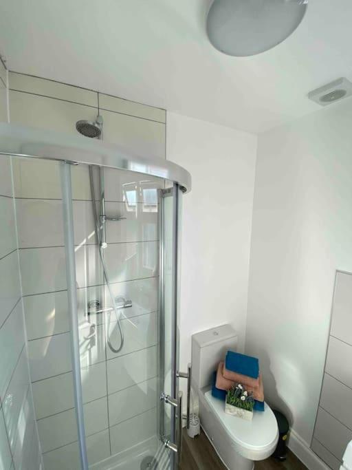 Apartment Lively Loft 30min To London