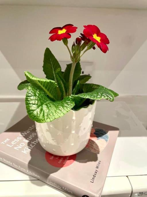 A Charming One Double Bedroom Flat Londen