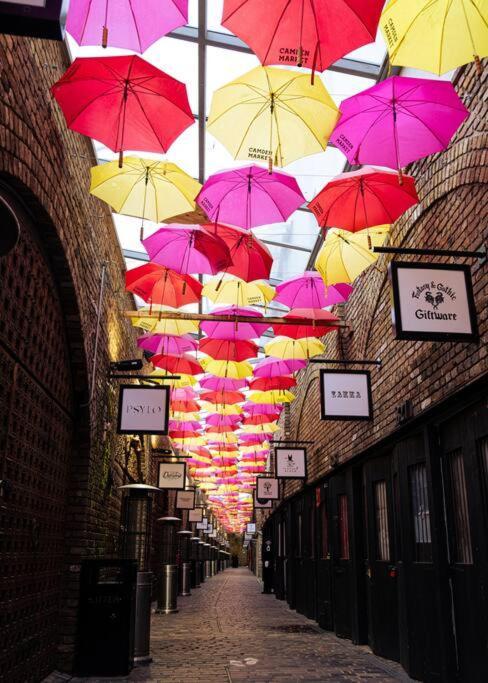 Camden Cocoon, 2' From Tube Up To 4 Londres