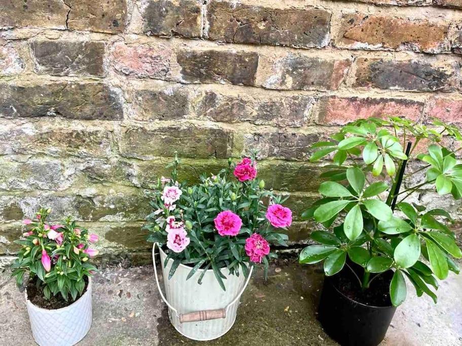 A Ground Floor Flat With Garden Appartement