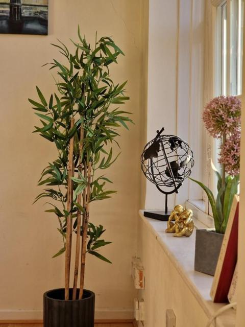Location Apartamento
