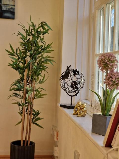 Apartamento Location