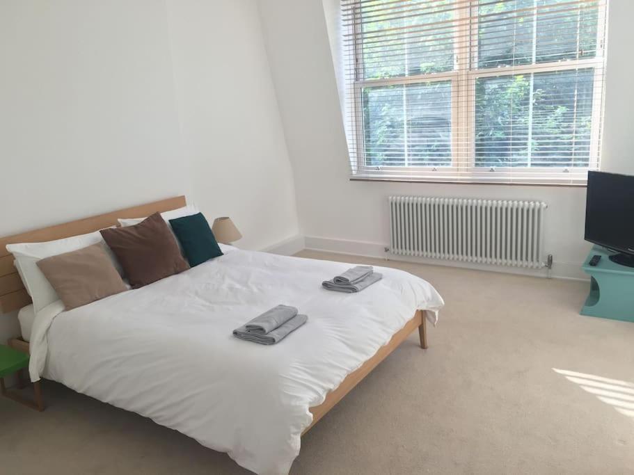 Appartement Beautiful 3 Bed In Leafy Hampstead Londres