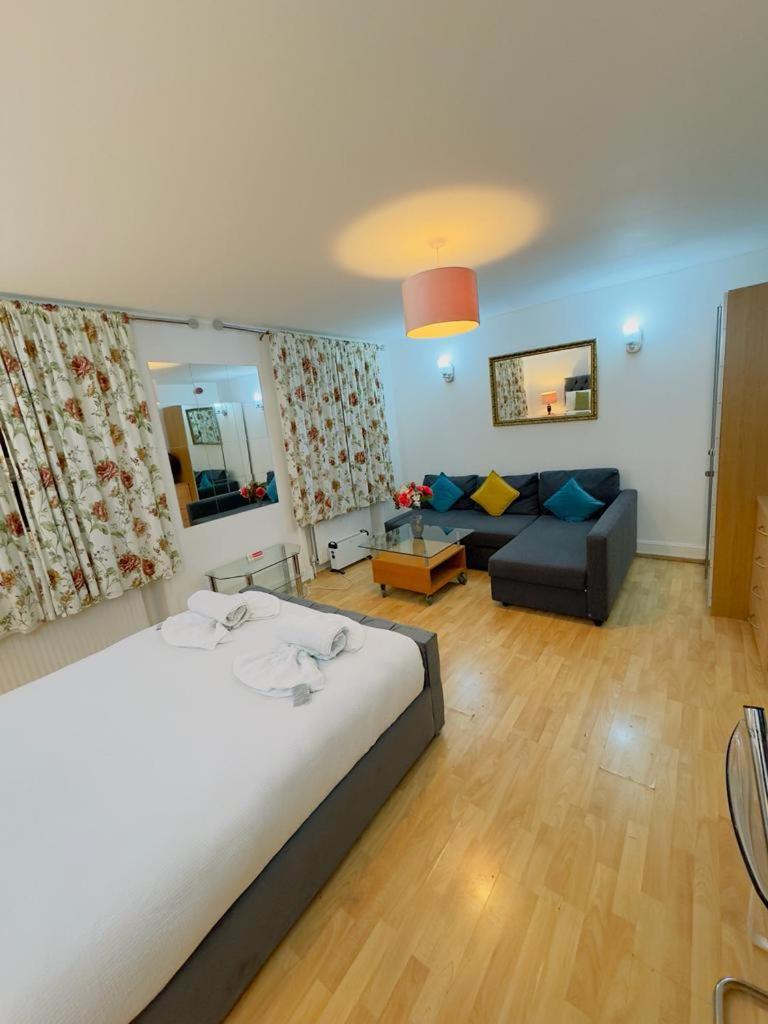 Bright Budget Studio In Central Apartment