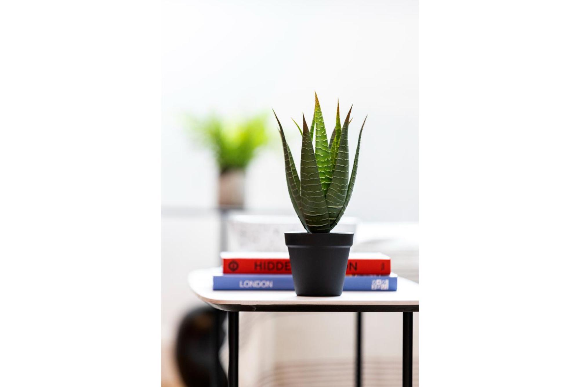 Apartamento Chic: Elegant Flat In A Prime Location