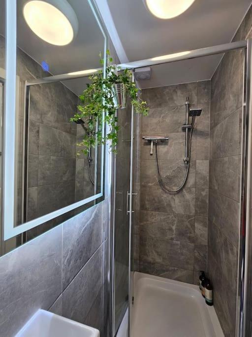 Apartment Stylish Putney Village Flat London