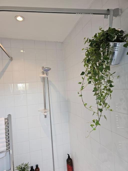 Cosy And Quiet One Bedroom Thames Flat Londres
