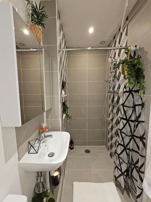 Beautiful And Spacious Flat Apartment *