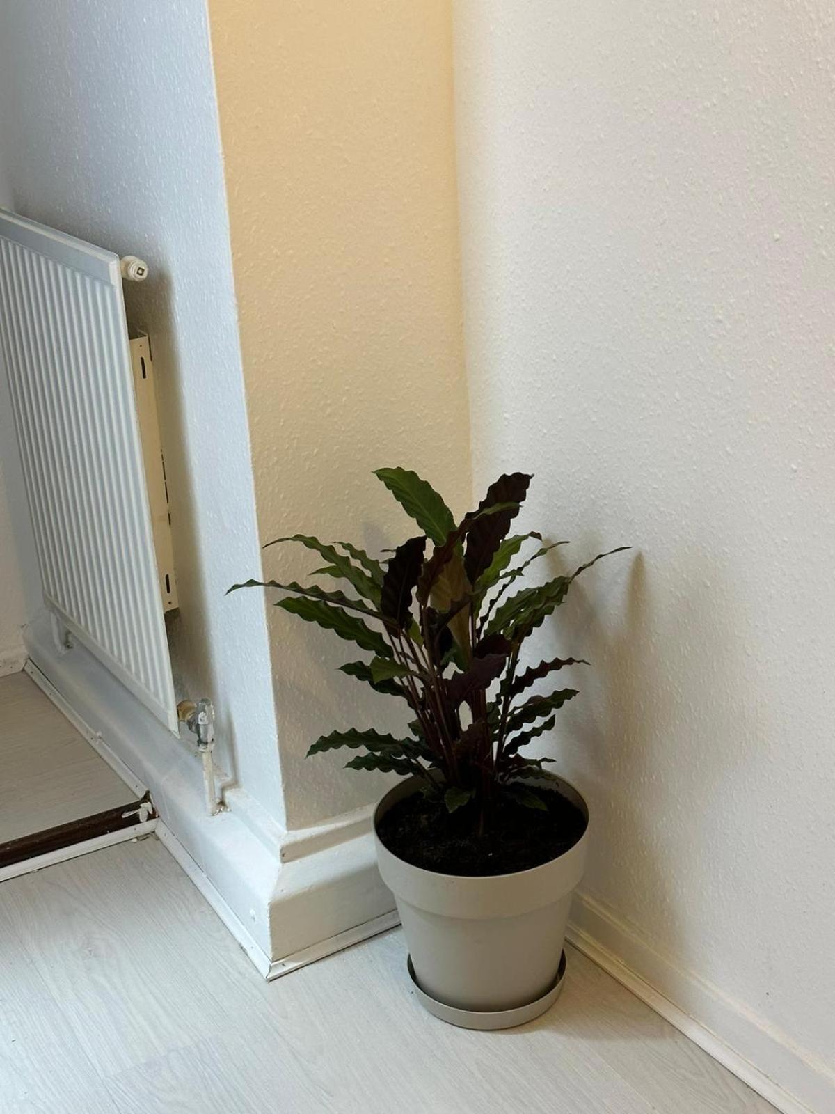 3 Bedroom King Cross Station City Centre Apartamento Londres